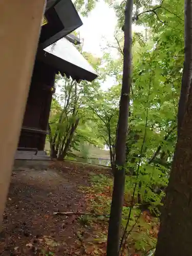 上川神社頓宮の本殿