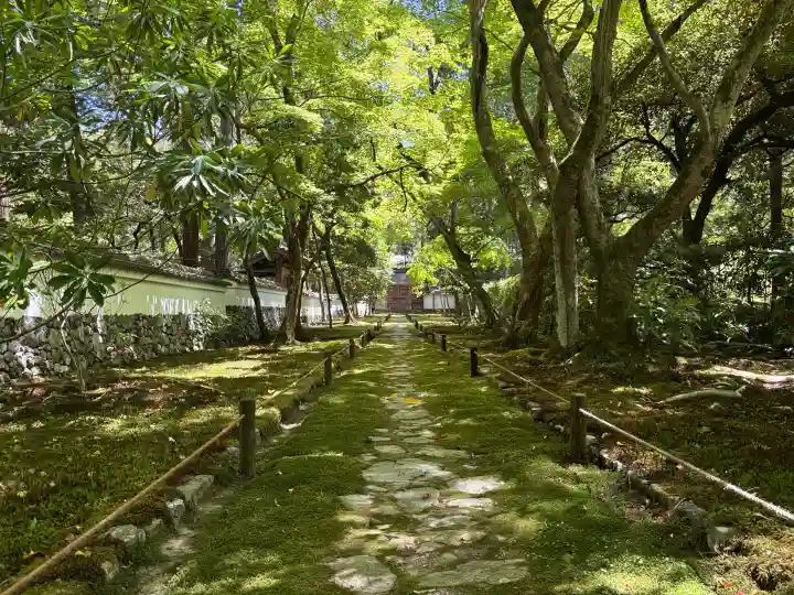 西芳寺の{uncategorized: "未分類", other: "その他", undefined: "問題あり", building: "その他建物", grave: "お墓", sacred_gate: "鳥居", guardian: "狛犬", statue: "像", buddha: "仏像", history: "歴史", nature: "自然", garden: "庭園", animal: "動物", pagoda: "塔", temizu: "手水舎", mountain_gate: "山門・神門", sanctuary: "本殿・本堂", subordinate: "末社・摂社", art: "芸術", scenery: "景色", jizo: "地蔵", ema: "絵馬", goshuin: "御朱印", omikuji: "おみくじ", items: "授与品その他", amulet: "お守り", goshuincho: "御朱印帳", eats: "食事", festival: "お祭り", votive_dance: "神楽", shichigosan: "七五三参", wedding: "結婚式", experience: "体験その他", initially: "初詣", around: "周辺", anti_infection: "感染症対策"}