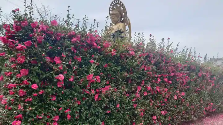 常福寺(愛知県)