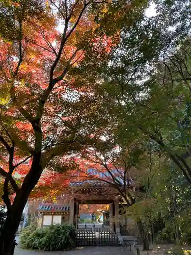高円寺(東京都)