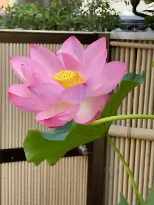 梅香寺(三重県)