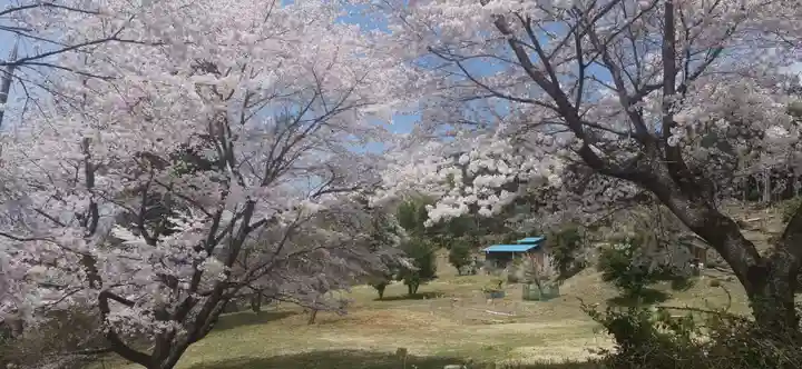 真福寺(埼玉県)