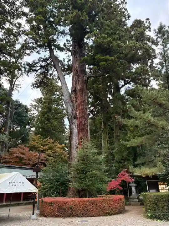 香取神宮(千葉県)