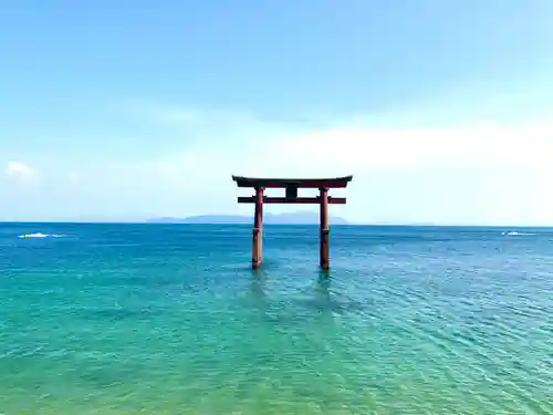 白鬚神社の鳥居