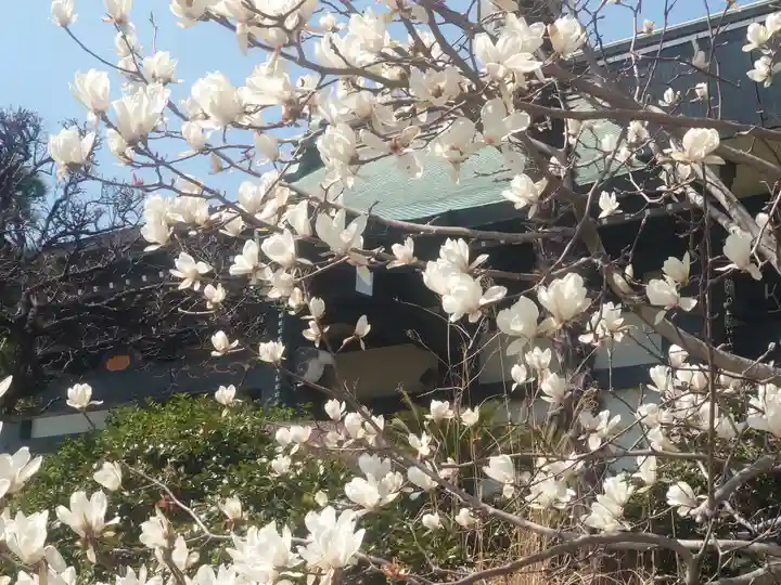 高長寺(神奈川県)