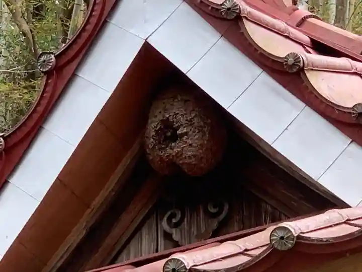 熊野神社の本殿・本堂