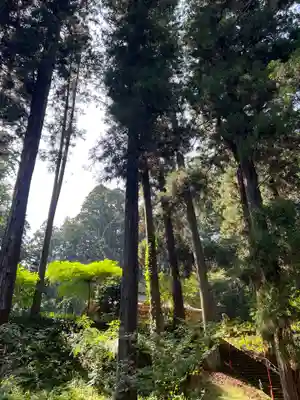 大宮温泉神社(栃木県)