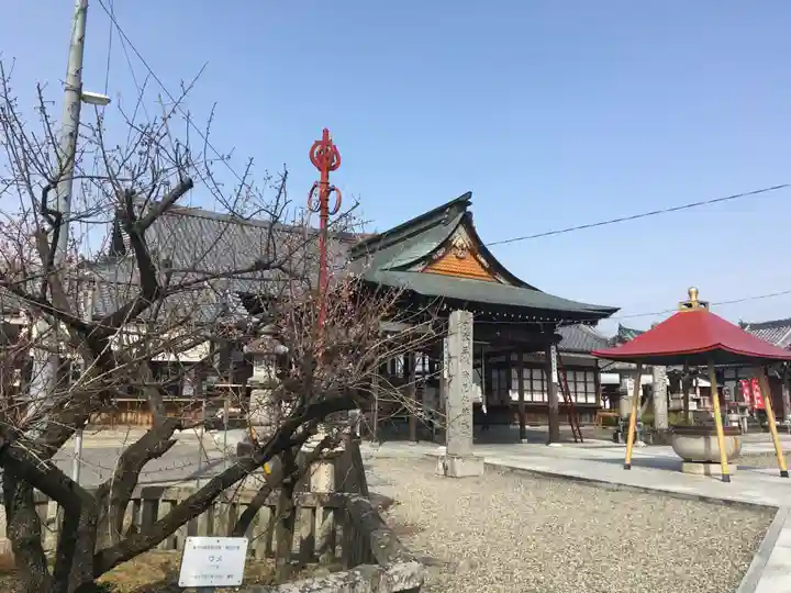 乙津寺 (鏡島弘法)の本殿・本堂