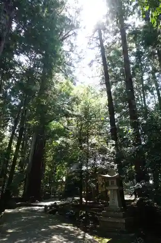 若狭彦神社（上社）の自然