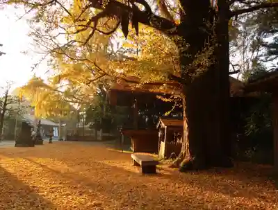 玉敷神社のその他建物