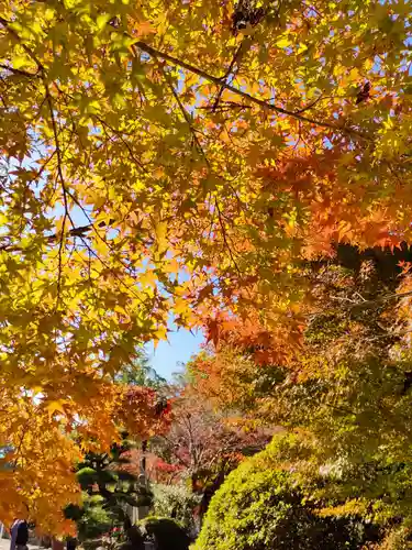 伊勢の国 四天王寺の自然