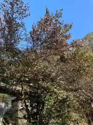 高取神社(兵庫県)