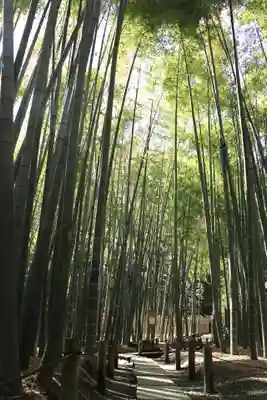 報国寺(神奈川県)