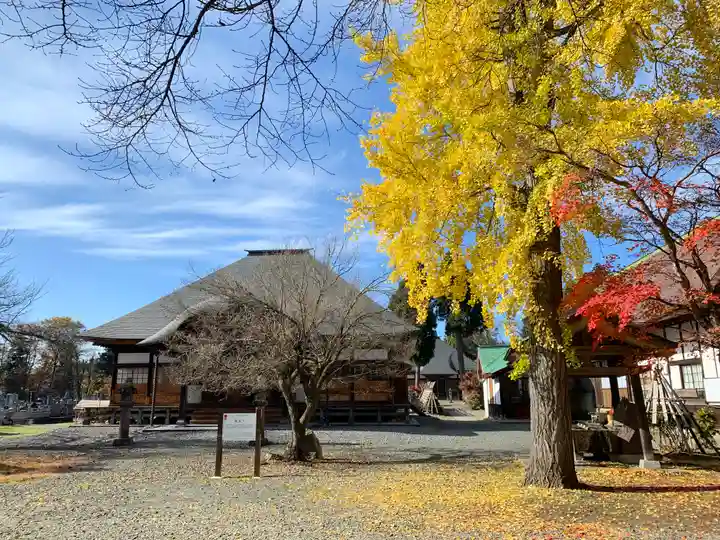 願成寺の本殿・本堂