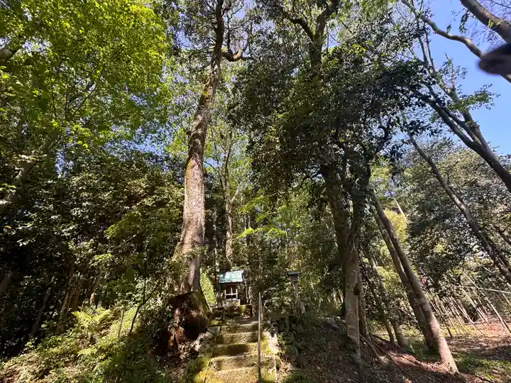 八幡宮(福井県)