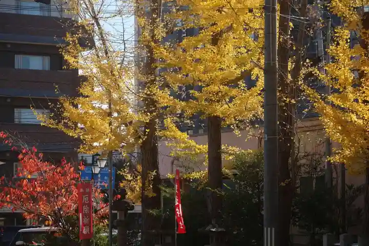 阿邪訶根神社の自然