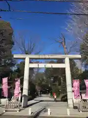 阿佐ヶ谷神明宮の鳥居