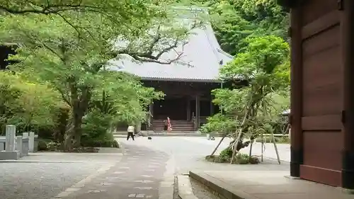 妙本寺の本殿・本堂