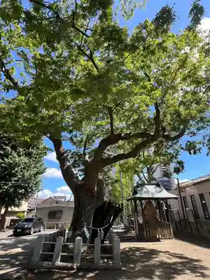 阿邪訶根神社(福島県)