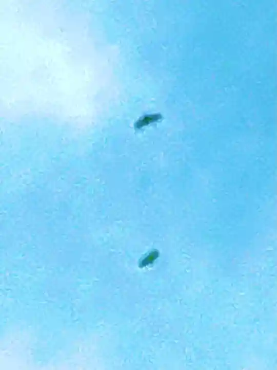 金嶽神社(茨城県)