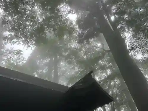 愛宕神社(京都府)