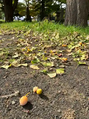 花畔神社(北海道)