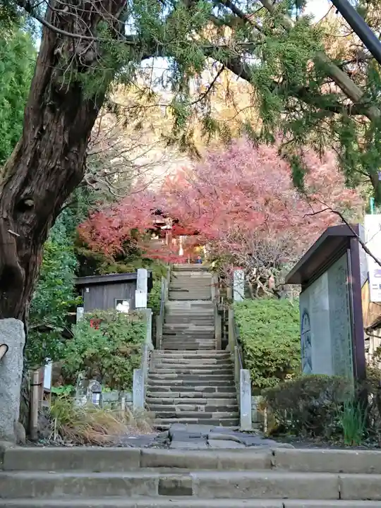 杉本寺の自然