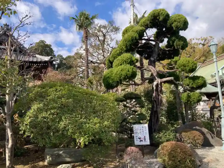 妙法寺(神奈川県)