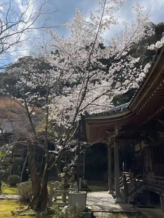 勝持寺(花の寺)(京都府)