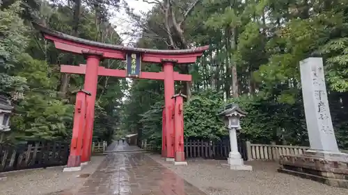 彌彦神社の鳥居