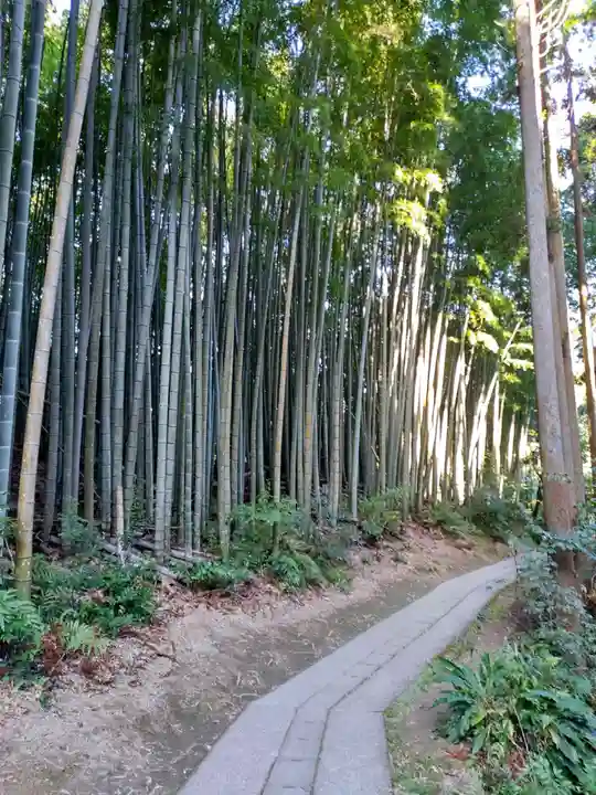 武雄神社(佐賀県)