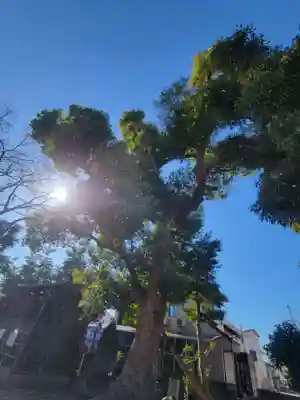 三島大明神社(愛媛県)