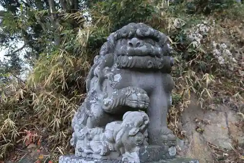 阿久津「田村神社」（郡山市阿久津町）旧社名：伊豆箱根三嶋三社の狛犬