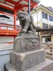 善國寺の狛犬