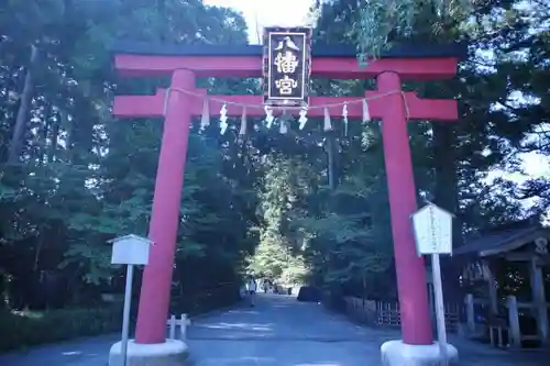 大崎八幡宮の鳥居