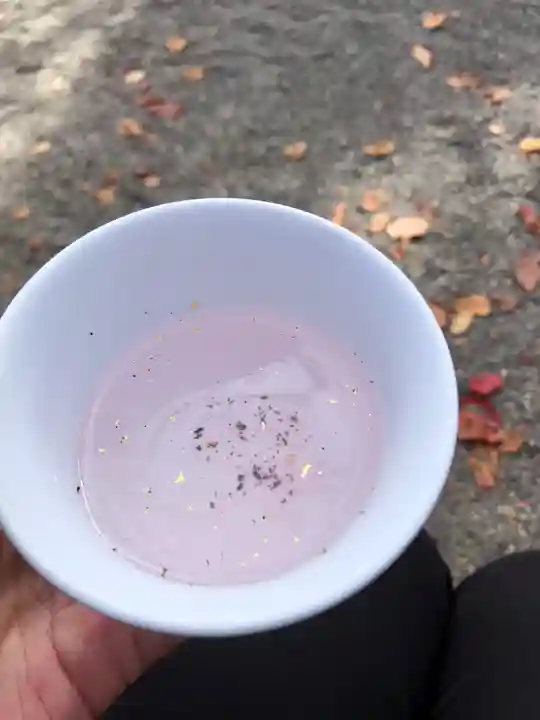 東寺(教王護国寺)(京都府)