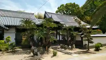 本蓮寺の本殿・本堂