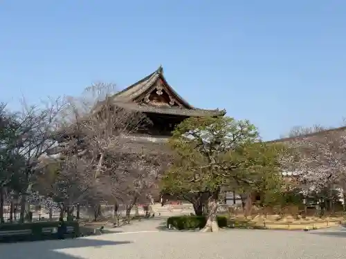 東寺（教王護国寺）の{uncategorized: "未分類", other: "その他", undefined: "問題あり", building: "その他建物", grave: "お墓", sacred_gate: "鳥居", guardian: "狛犬", statue: "像", buddha: "仏像", history: "歴史", nature: "自然", garden: "庭園", animal: "動物", pagoda: "塔", temizu: "手水舎", mountain_gate: "山門・神門", sanctuary: "本殿・本堂", subordinate: "末社・摂社", art: "芸術", scenery: "景色", jizo: "地蔵", ema: "絵馬", goshuin: "御朱印", omikuji: "おみくじ", items: "授与品その他", amulet: "お守り", goshuincho: "御朱印帳", eats: "食事", festival: "お祭り", votive_dance: "神楽", shichigosan: "七五三参", wedding: "結婚式", experience: "体験その他", initially: "初詣", around: "周辺", anti_infection: "感染症対策"}