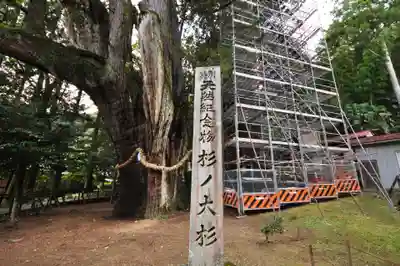 八坂神社(高知県)
