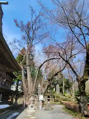 小室浅間神社のその他建物