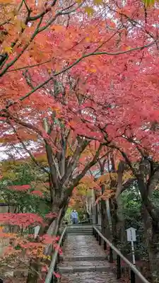 光悦寺(京都府)