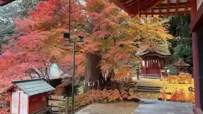 談山神社(奈良県)