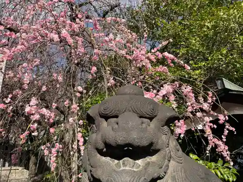 牛天神北野神社(東京都)