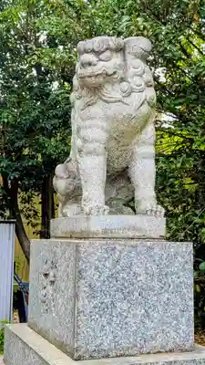 柴又八幡神社の狛犬