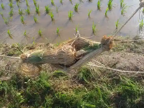 御船神社のその他建物