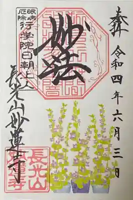 6月御朱印
キキョウソウ