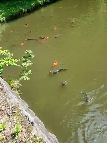 浮嶋稲荷神社(山形県)