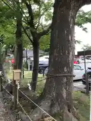 生島足島神社の自然