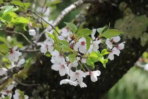 国宝 大法寺の庭園