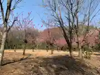 八幡神社の自然